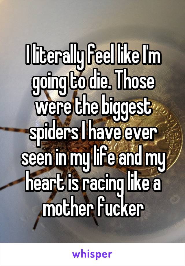 I literally feel like I'm going to die. Those were the biggest spiders I have ever seen in my life and my heart is racing like a mother fucker