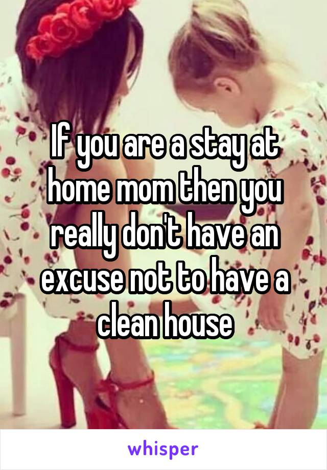 If you are a stay at home mom then you really don't have an excuse not to have a clean house