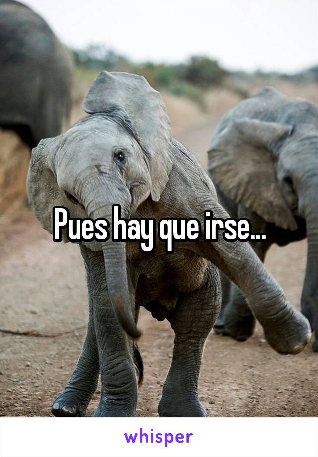 Pues hay que irse...