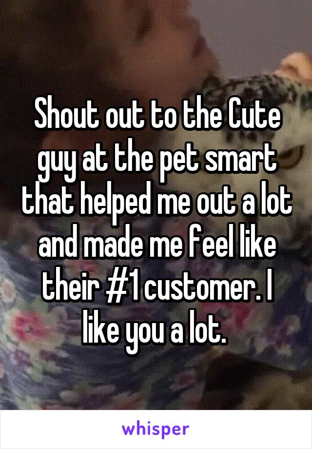 Shout out to the Cute guy at the pet smart that helped me out a lot and made me feel like their #1 customer. I like you a lot. 