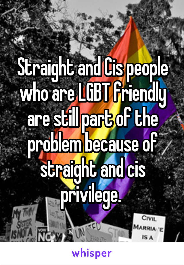 Straight and Cis people who are LGBT friendly are still part of the problem because of straight and cis privilege. 