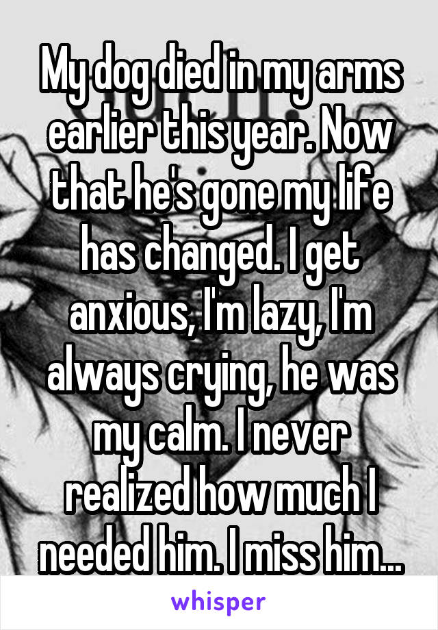 My dog died in my arms earlier this year. Now that he's gone my life has changed. I get anxious, I'm lazy, I'm always crying, he was my calm. I never realized how much I needed him. I miss him...