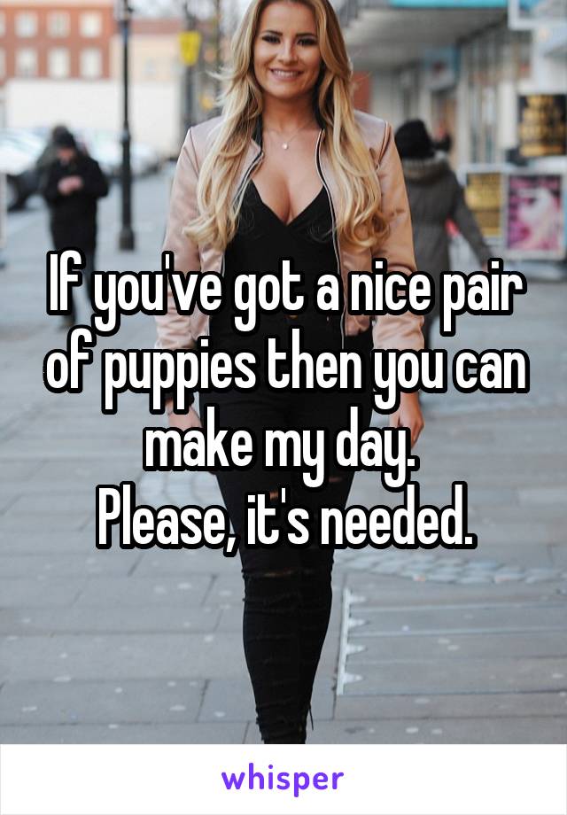 If you've got a nice pair of puppies then you can make my day. 
Please, it's needed.