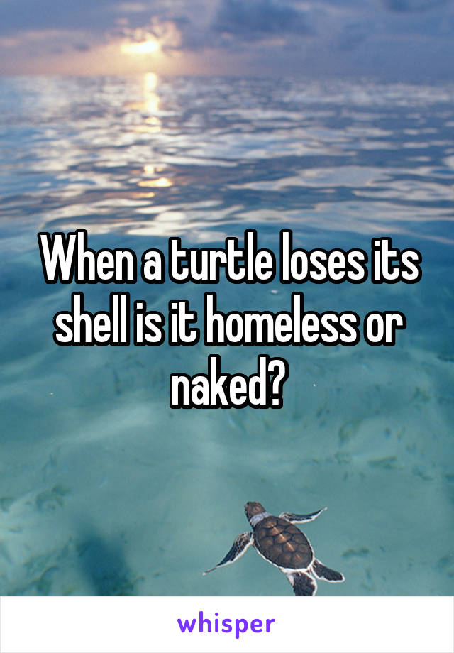 When a turtle loses its shell is it homeless or naked?