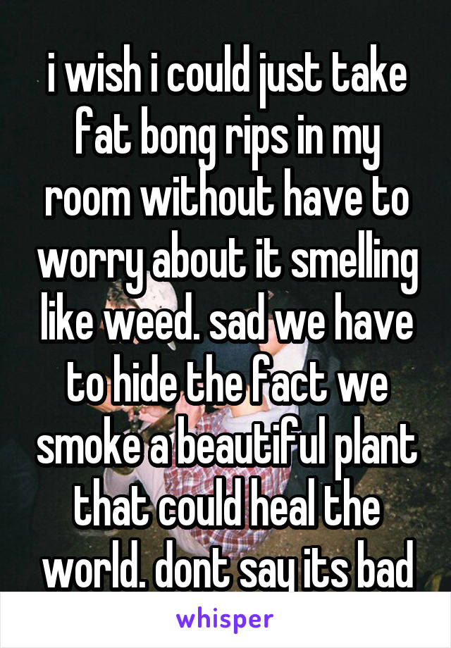 i wish i could just take fat bong rips in my room without have to worry about it smelling like weed. sad we have to hide the fact we smoke a beautiful plant that could heal the world. dont say its bad