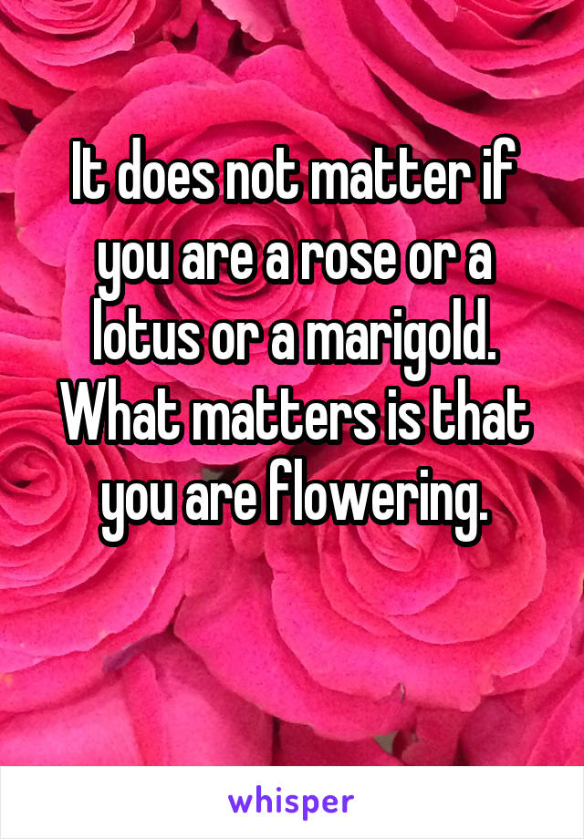 It does not matter if you are a rose or a lotus or a marigold. What matters is that you are flowering.

