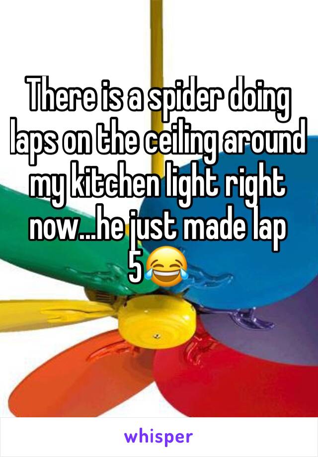 There is a spider doing laps on the ceiling around my kitchen light right now...he just made lap 5😂