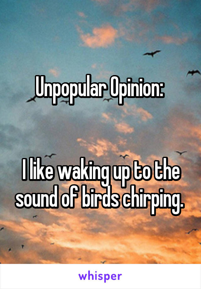 Unpopular Opinion: 


I like waking up to the sound of birds chirping. 