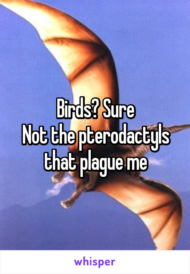 Birds? Sure
Not the pterodactyls that plague me