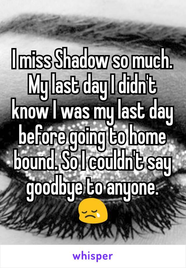 I miss Shadow so much. My last day I didn't know I was my last day before going to home bound. So I couldn't say goodbye to anyone. 😢