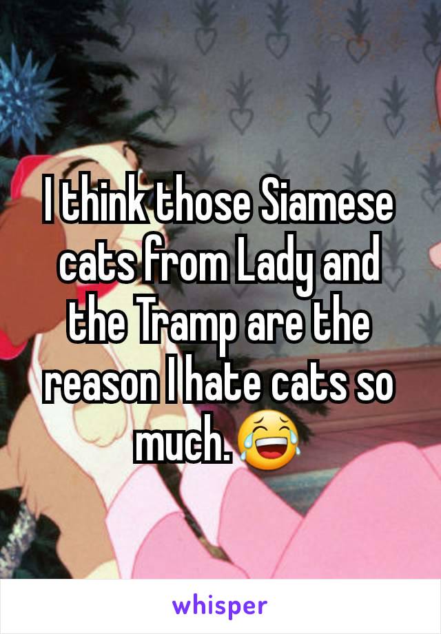 I think those Siamese cats from Lady and the Tramp are the reason I hate cats so much.😂