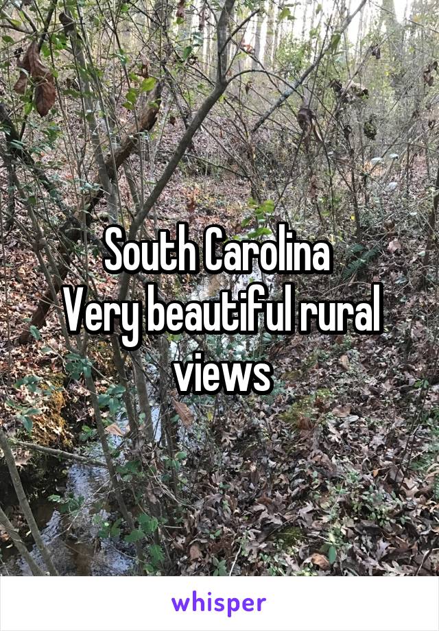 South Carolina 
Very beautiful rural views