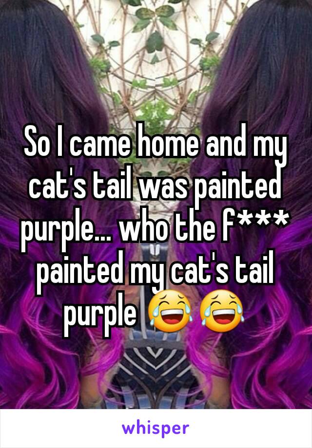 So I came home and my cat's tail was painted purple... who the f*** painted my cat's tail purple 😂😂