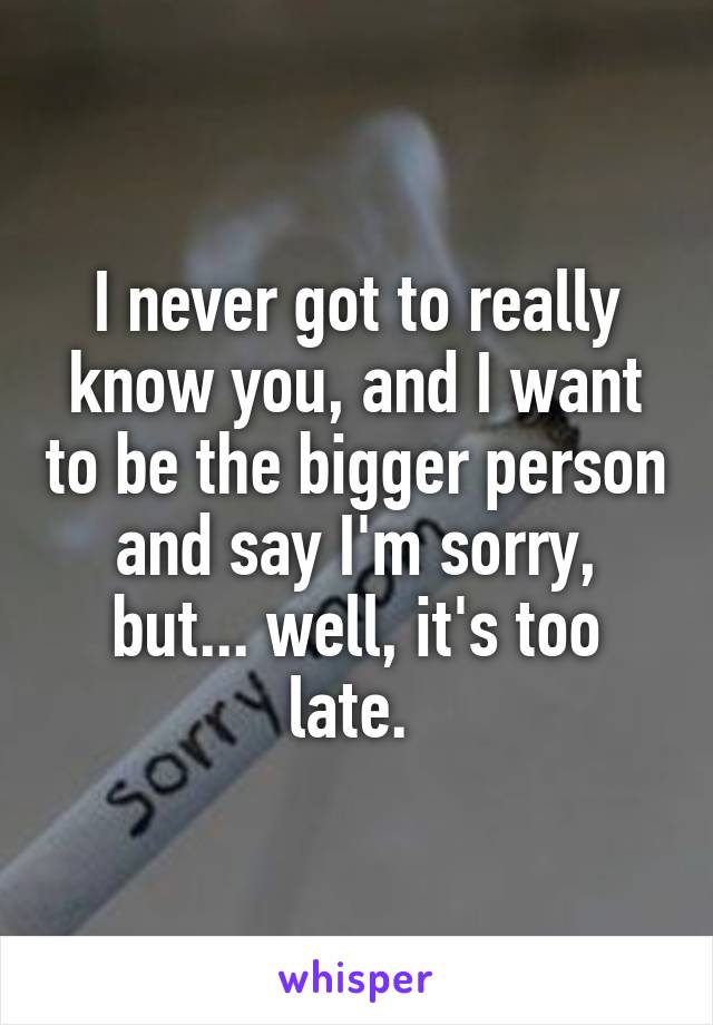 I never got to really know you, and I want to be the bigger person and say I'm sorry, but... well, it's too late. 