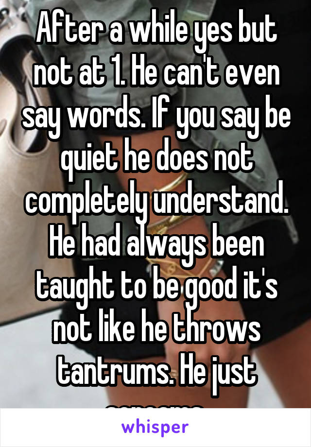 After a while yes but not at 1. He can't even say words. If you say be quiet he does not completely understand. He had always been taught to be good it's not like he throws tantrums. He just screams.