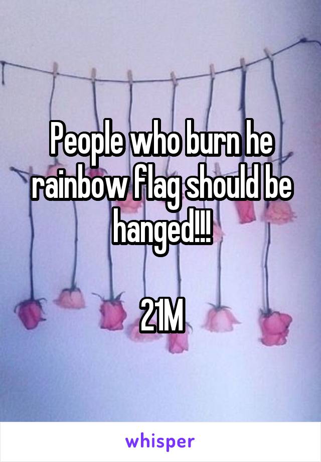 People who burn he rainbow flag should be hanged!!!

21M