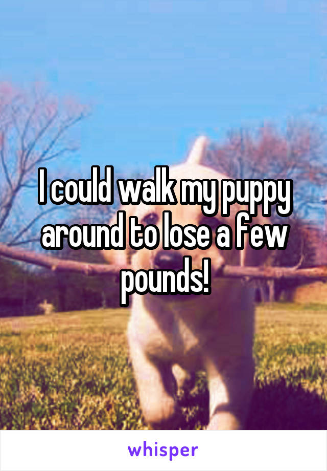 I could walk my puppy around to lose a few pounds!