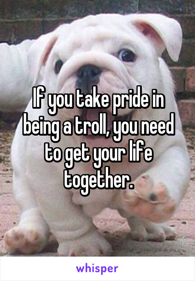 If you take pride in being a troll, you need to get your life together.