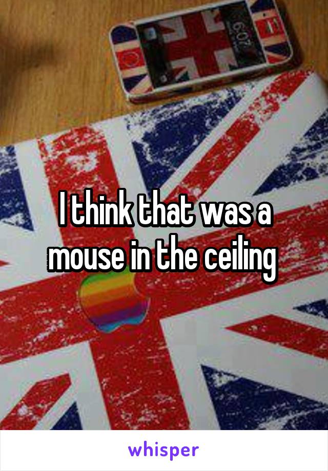 I think that was a mouse in the ceiling 