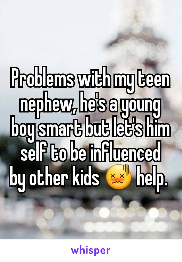 Problems with my teen nephew, he's a young boy smart but let's him self to be influenced by other kids 😖 help. 