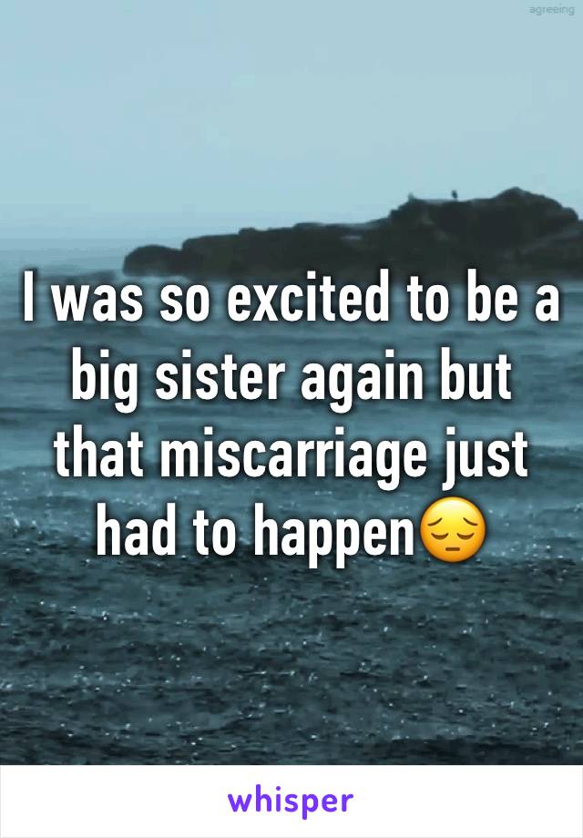 I was so excited to be a big sister again but that miscarriage just had to happen😔