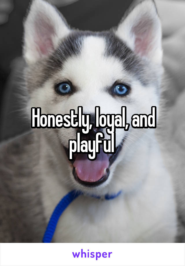 Honestly, loyal, and playful 