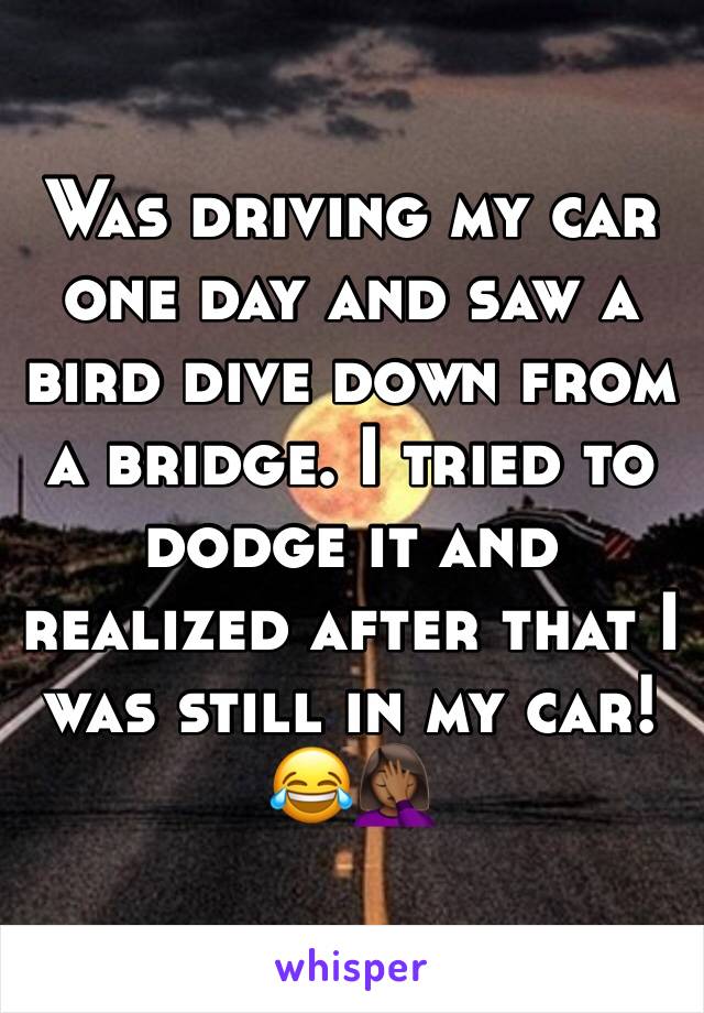 Was driving my car one day and saw a bird dive down from a bridge. I tried to dodge it and realized after that I was still in my car!😂🤦🏾‍♀️