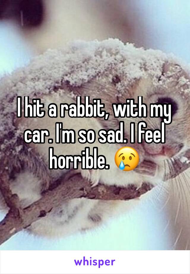 I hit a rabbit, with my car. I'm so sad. I feel horrible. 😢