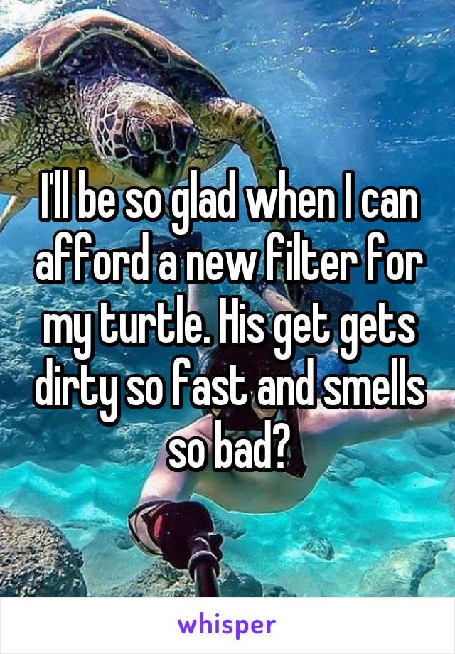 I'll be so glad when I can afford a new filter for my turtle. His get gets dirty so fast and smells so bad😩