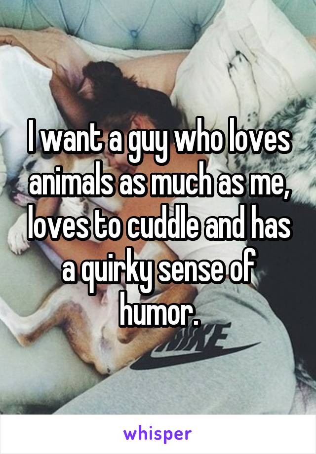 I want a guy who loves animals as much as me, loves to cuddle and has a quirky sense of humor.