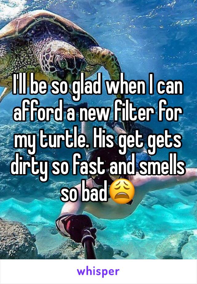 I'll be so glad when I can afford a new filter for my turtle. His get gets dirty so fast and smells so bad😩