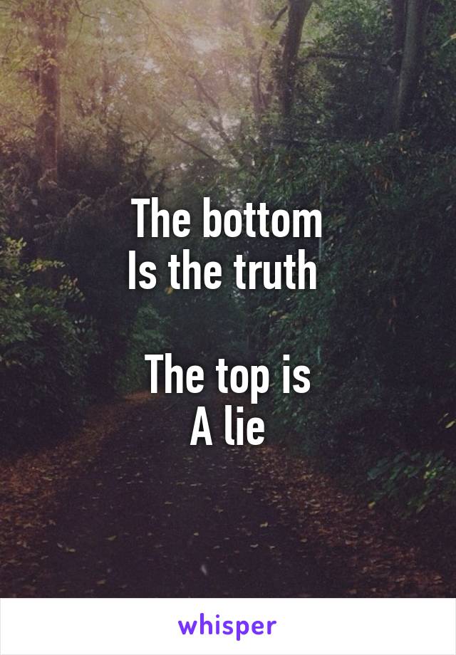 The bottom
Is the truth 

The top is
A lie