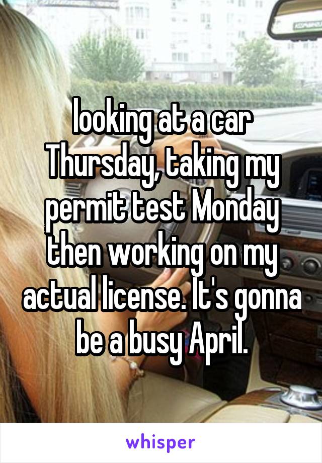 looking at a car Thursday, taking my permit test Monday then working on my actual license. It's gonna be a busy April.