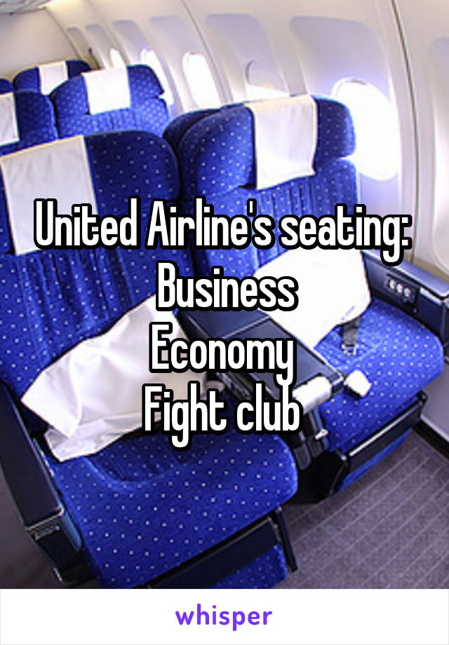 United Airline's seating: 
Business
Economy 
Fight club 