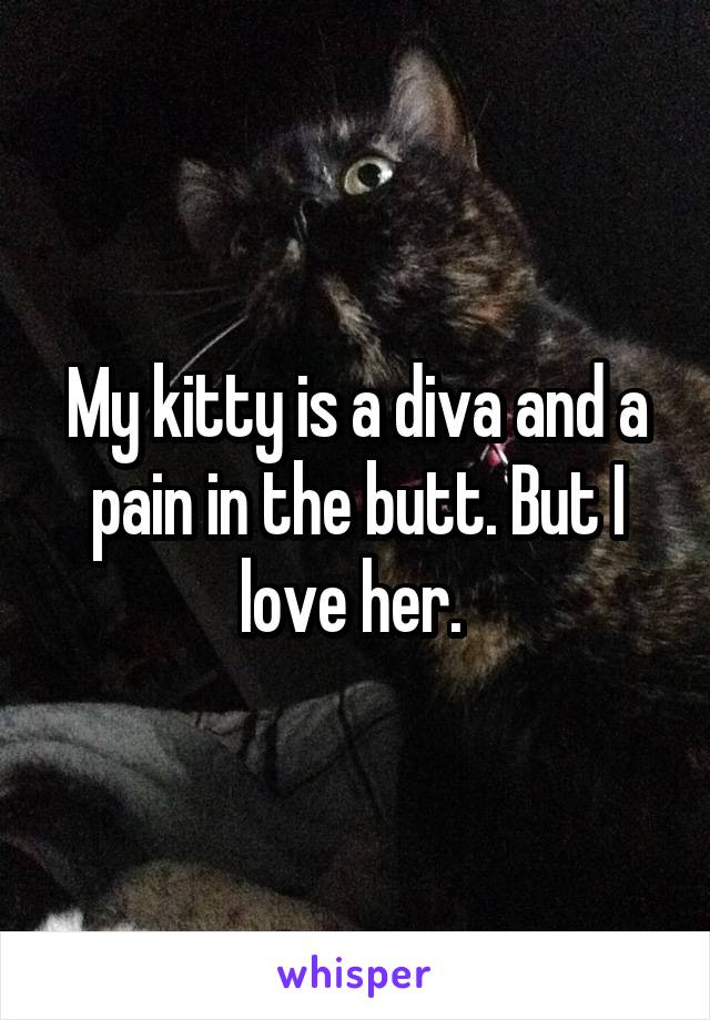 My kitty is a diva and a pain in the butt. But I love her. 