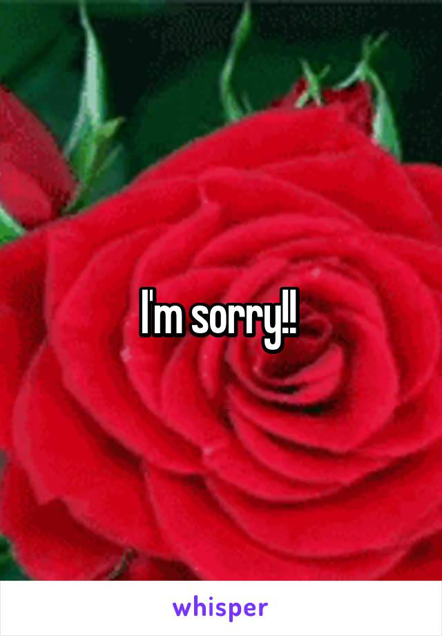 I'm sorry!! 