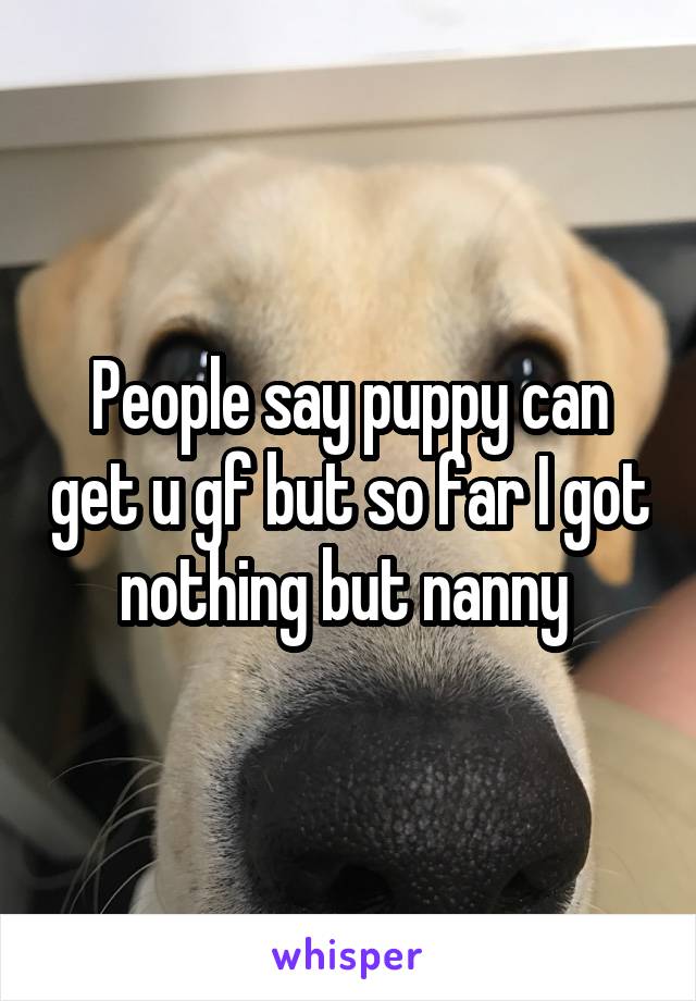 People say puppy can get u gf but so far I got nothing but nanny 