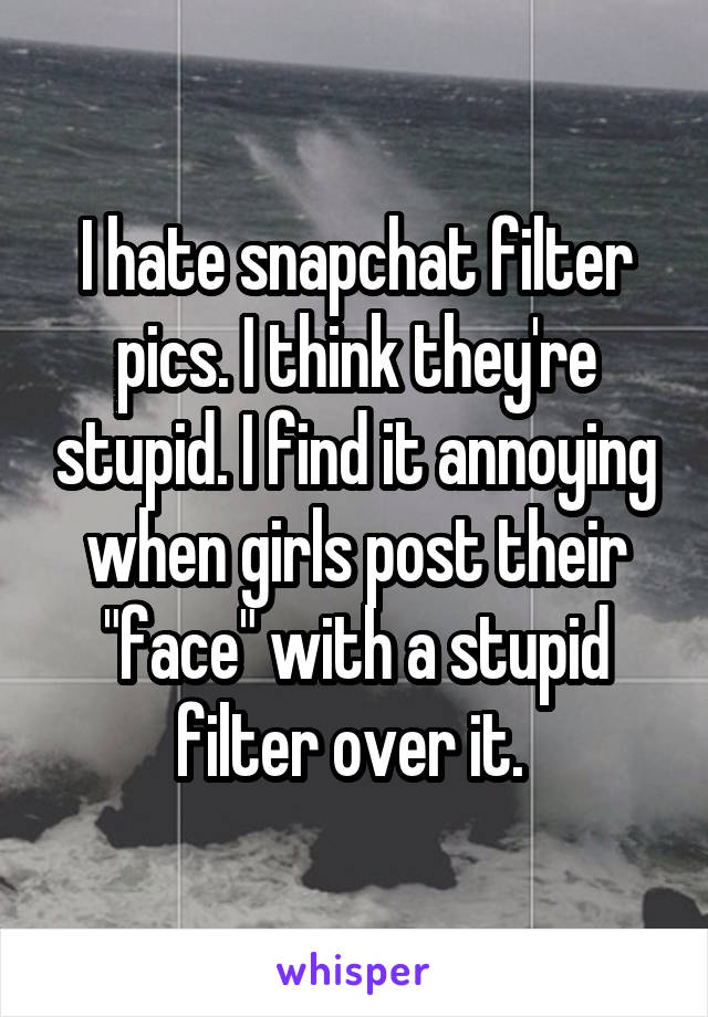 I hate snapchat filter pics. I think they're stupid. I find it annoying when girls post their "face" with a stupid filter over it. 