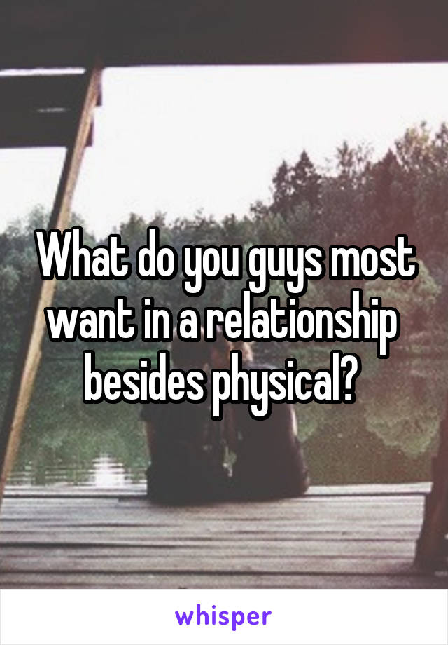 What do you guys most want in a relationship  besides physical? 