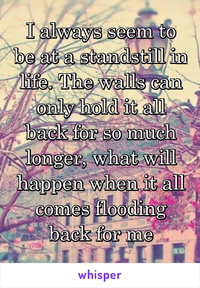 I always seem to be at a standstill in life. The walls can only hold it all back for so much longer, what will happen when it all comes flooding back for me
...