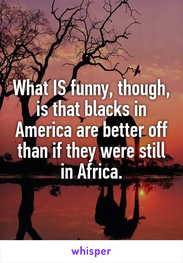 What IS funny, though, is that blacks in America are better off than if they were still in Africa.