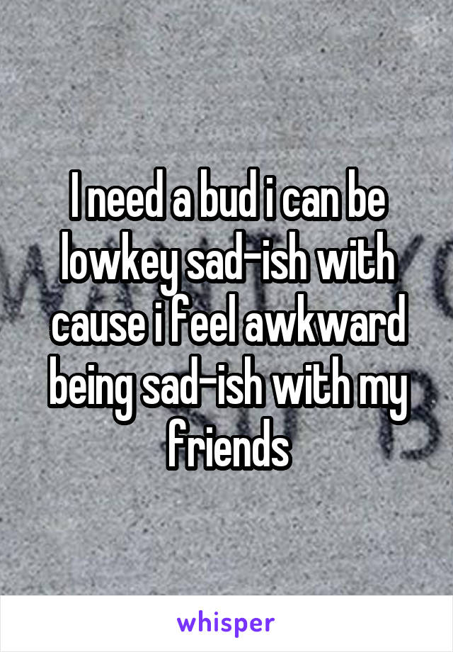 I need a bud i can be lowkey sad-ish with cause i feel awkward being sad-ish with my friends