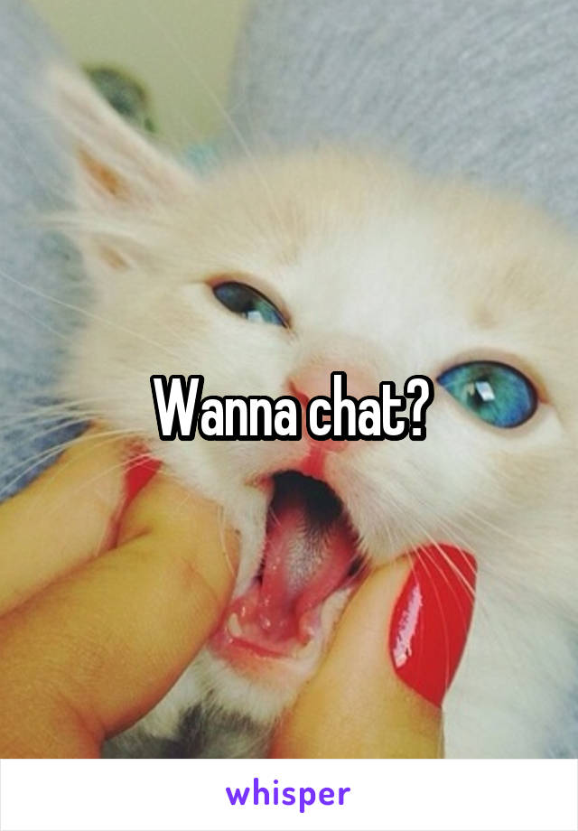 Wanna chat?