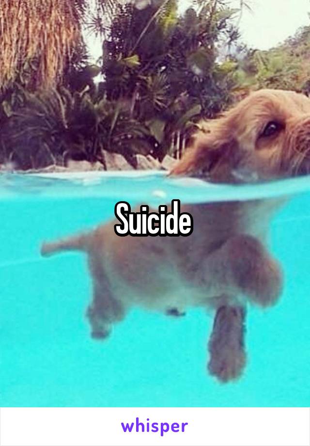 Suicide 