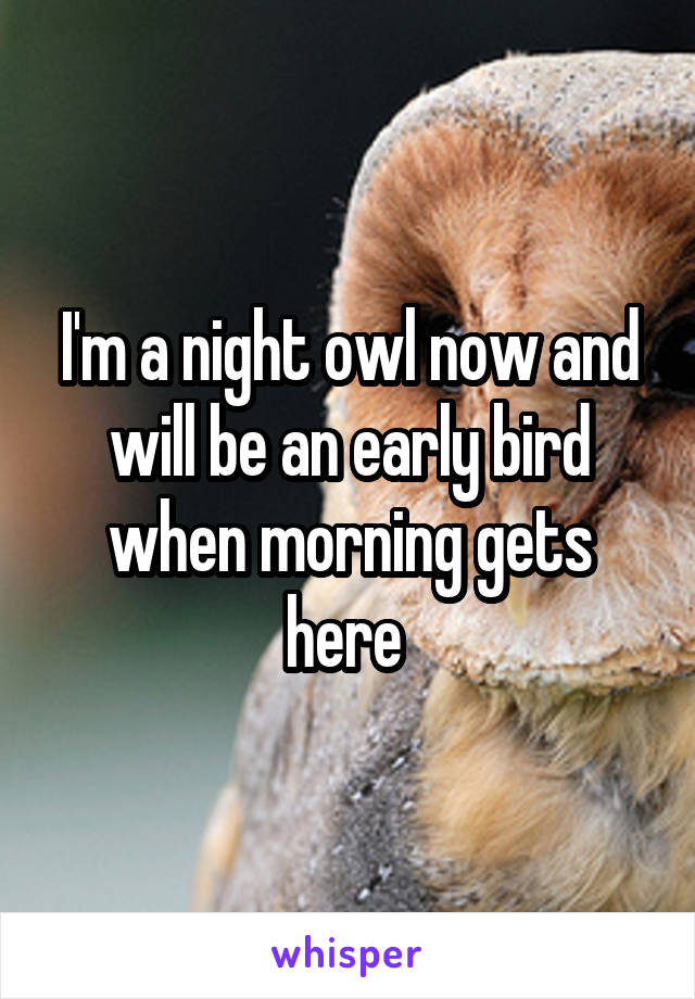 I'm a night owl now and will be an early bird when morning gets here 