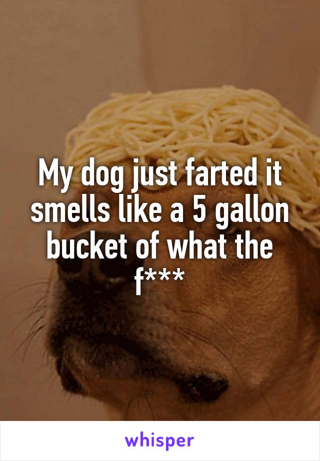 My dog just farted it smells like a 5 gallon bucket of what the f***