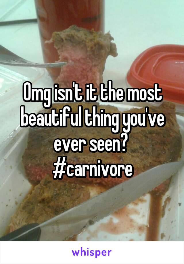 Omg isn't it the most beautiful thing you've ever seen? 
#carnivore