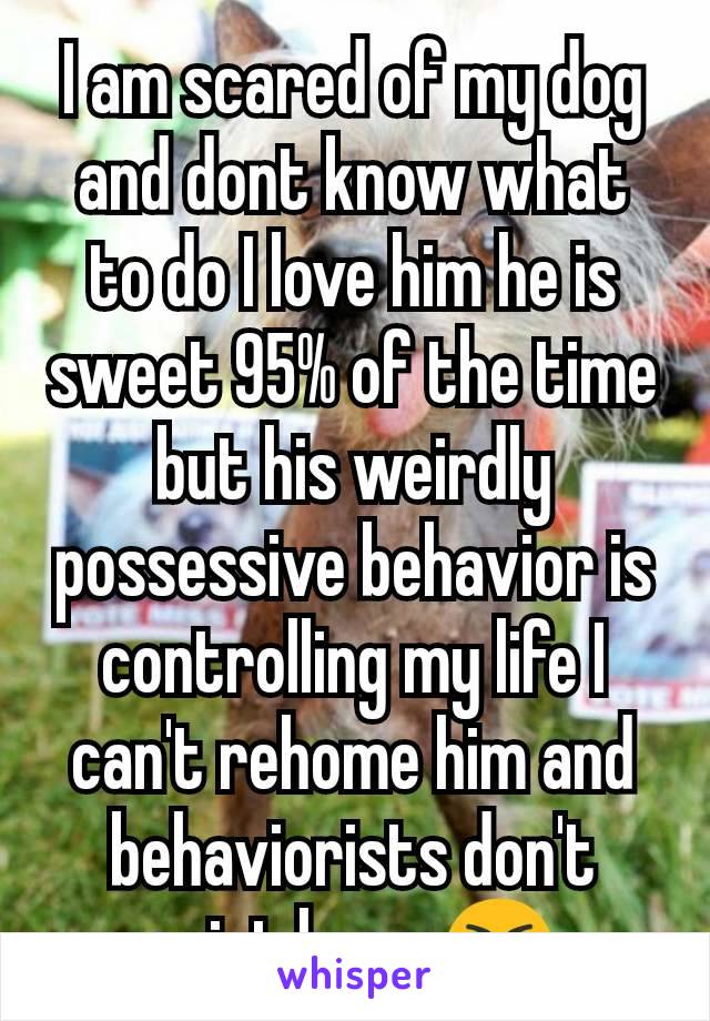 I am scared of my dog and dont know what to do I love him he is sweet 95% of the time but his weirdly possessive behavior is controlling my life I can't rehome him and behaviorists don't exist here 😭