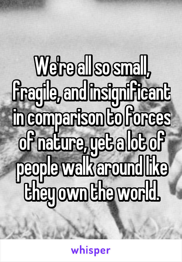 We're all so small, fragile, and insignificant in comparison to forces of nature, yet a lot of people walk around like they own the world.