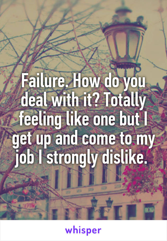 Failure. How do you deal with it? Totally feeling like one but I get up and come to my job I strongly dislike. 